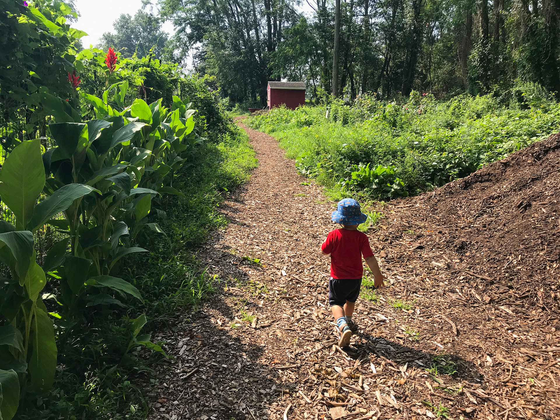 Ward Acres