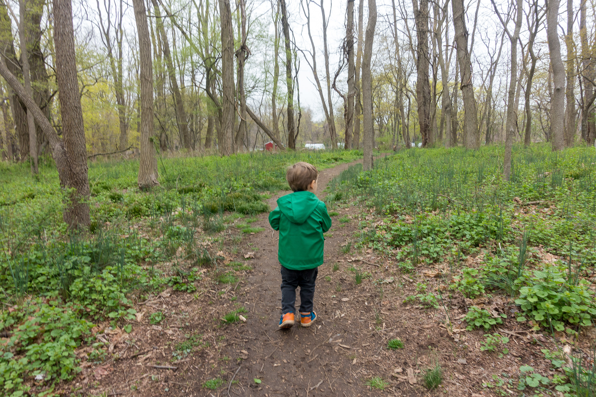 Ward Acres