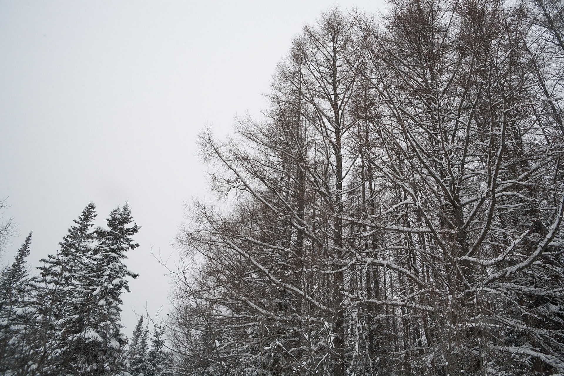 Connors, New Brunswick, Canada