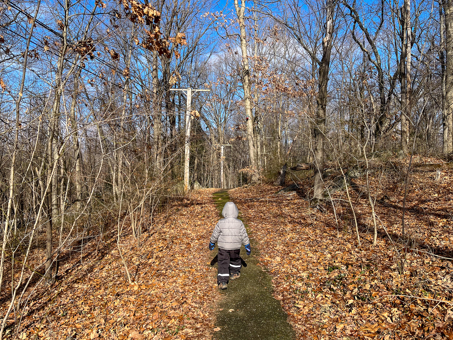 Greenburgh Nature Center