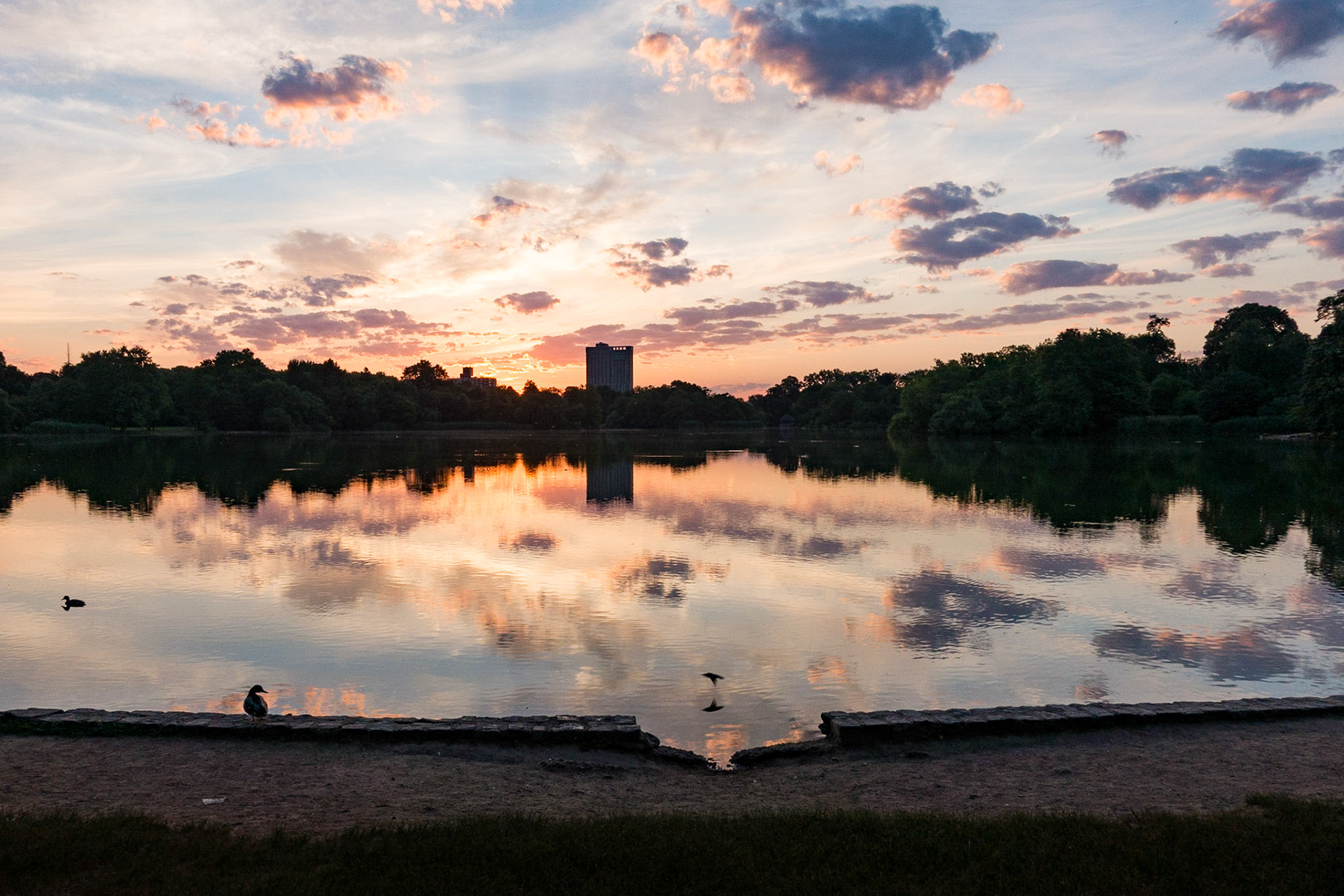 Dawn, Prospect Park, Brooklyn