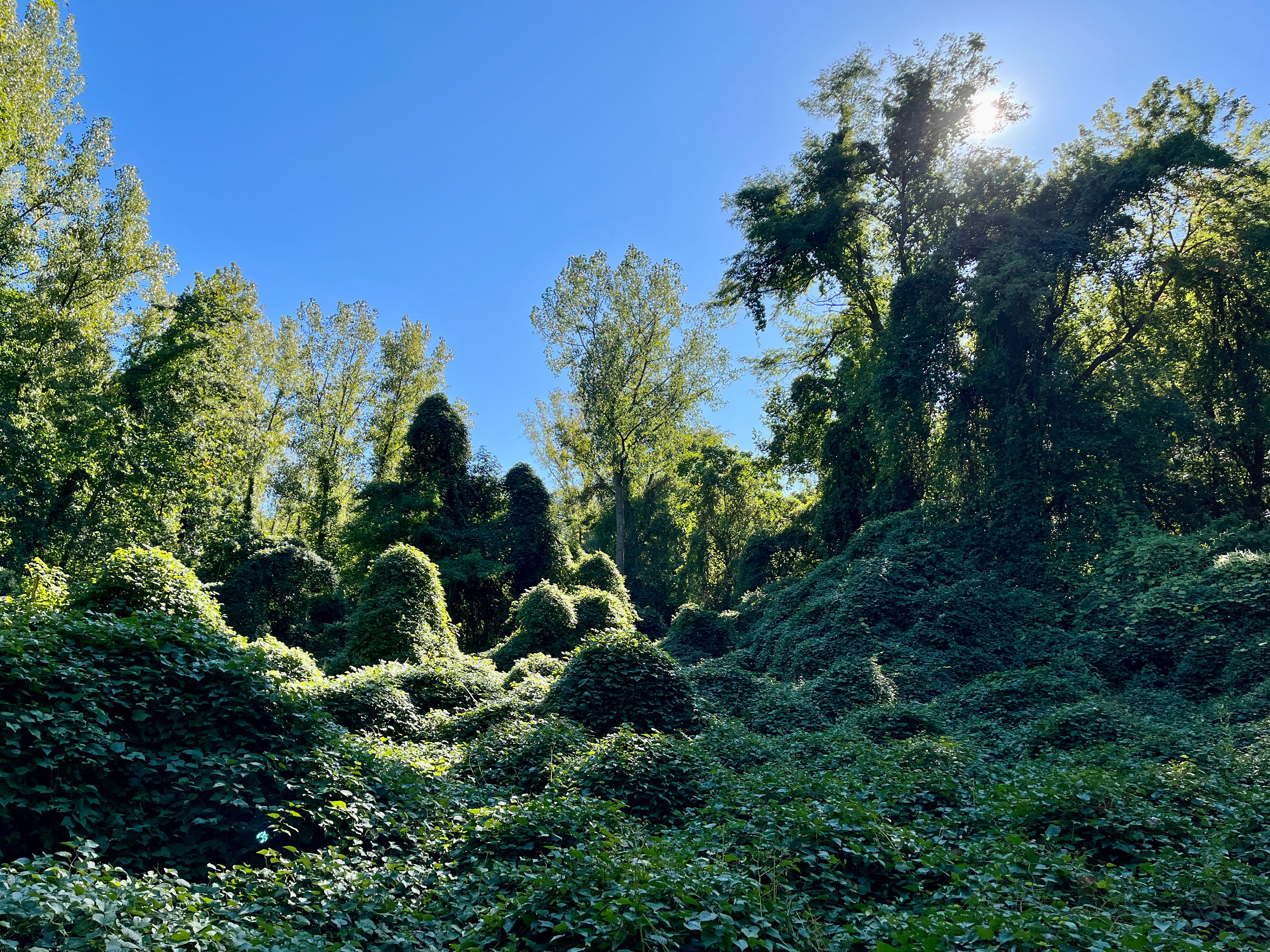 Ward Acres