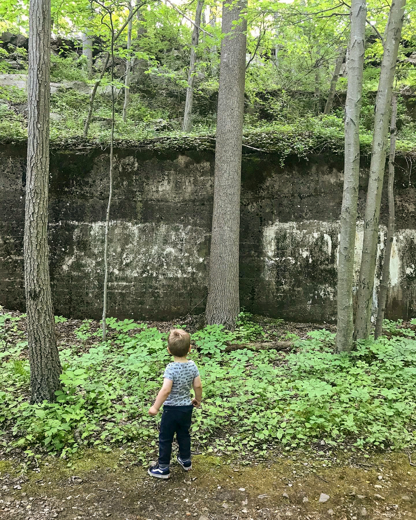 Twin Lakes Park