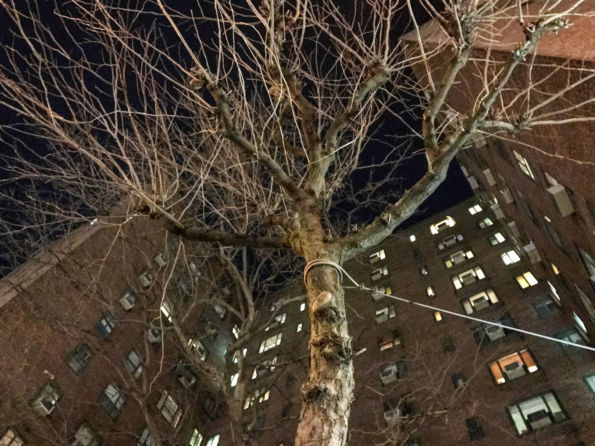 Stuyvesant Town - Peter Cooper Villiage