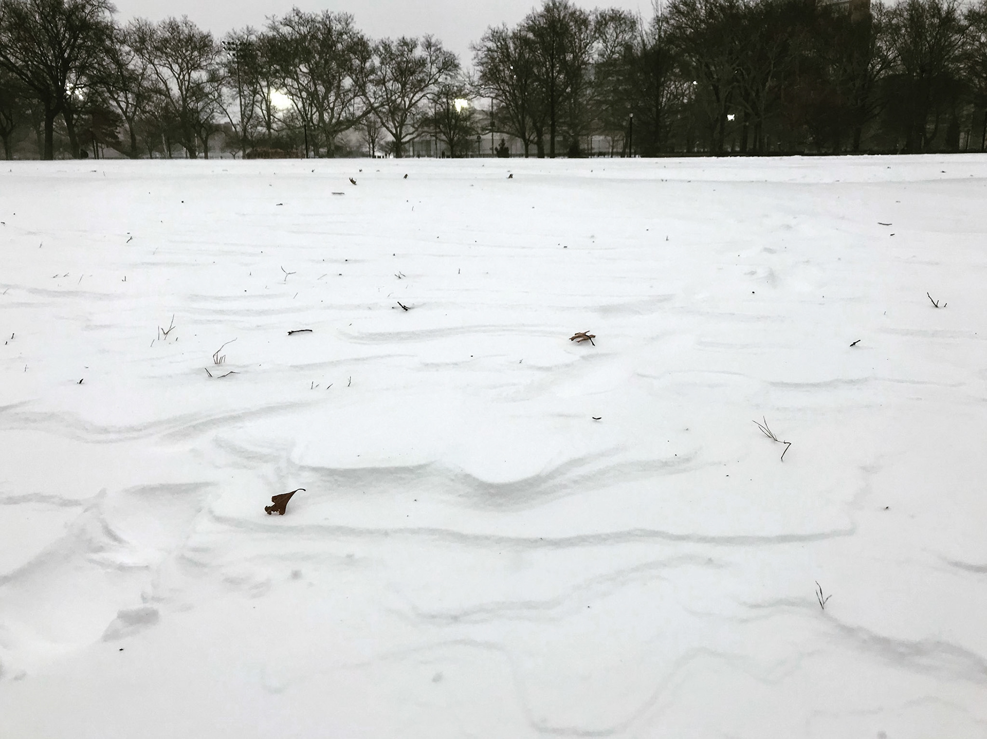 McCarren Park, Brooklyn