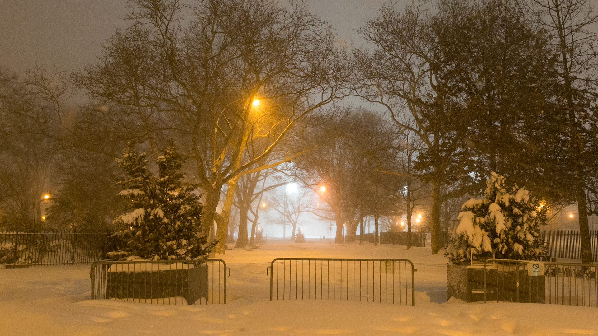 McCarren Park, Brooklyn