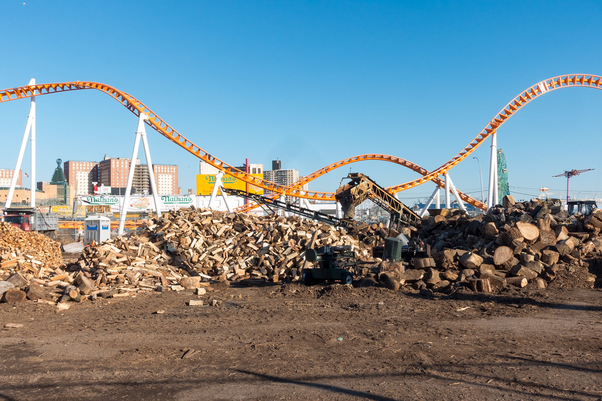 Chopped Wood, Coney Island