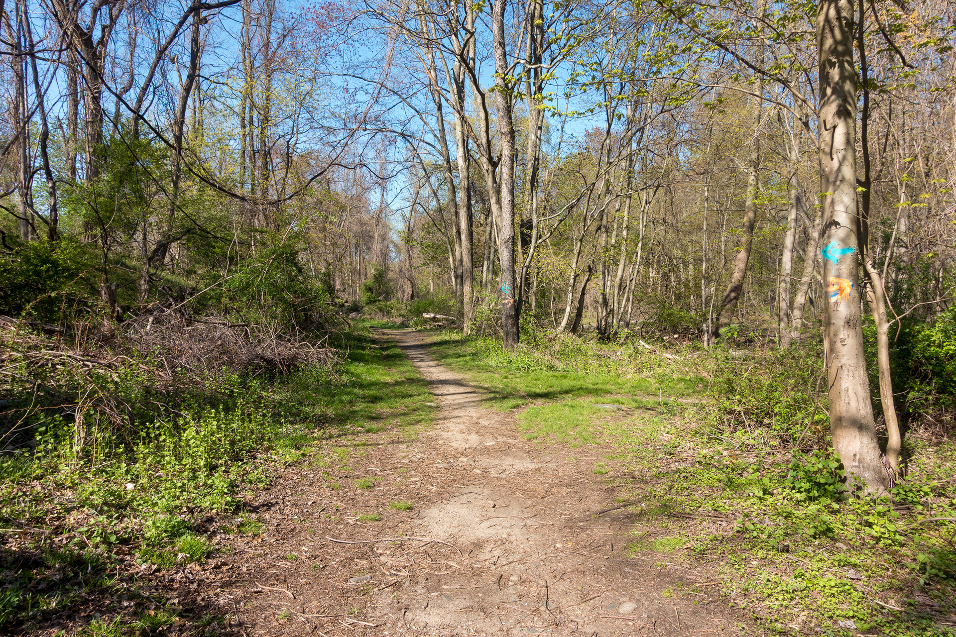 Twin Lakes Park