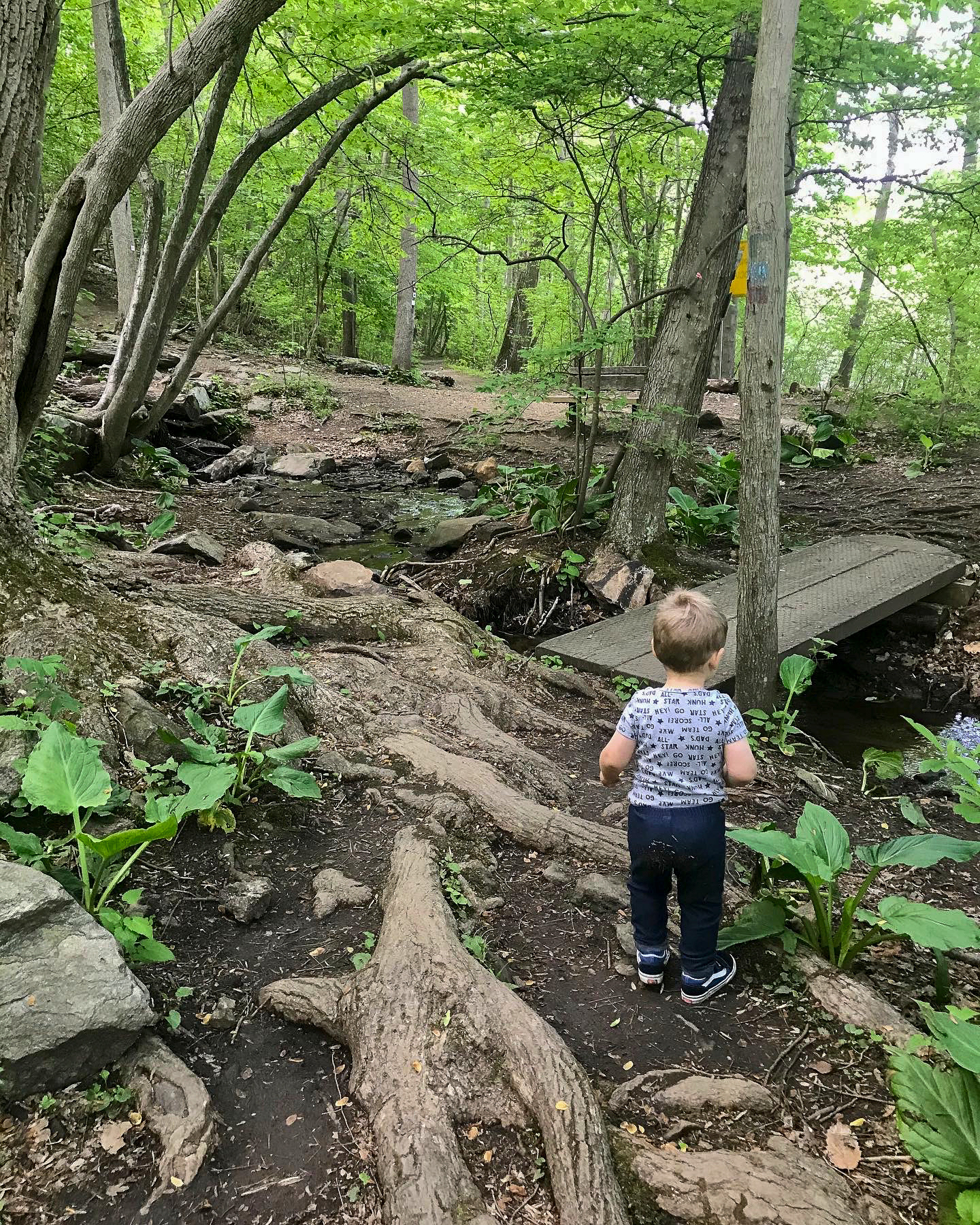 Cranberry Lake Preserve