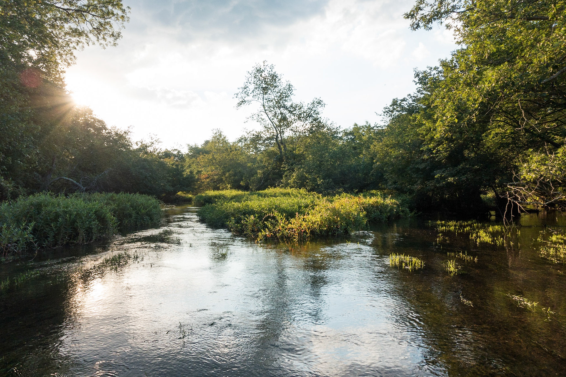 Carmans River, South Haven Park, Long Island, New York