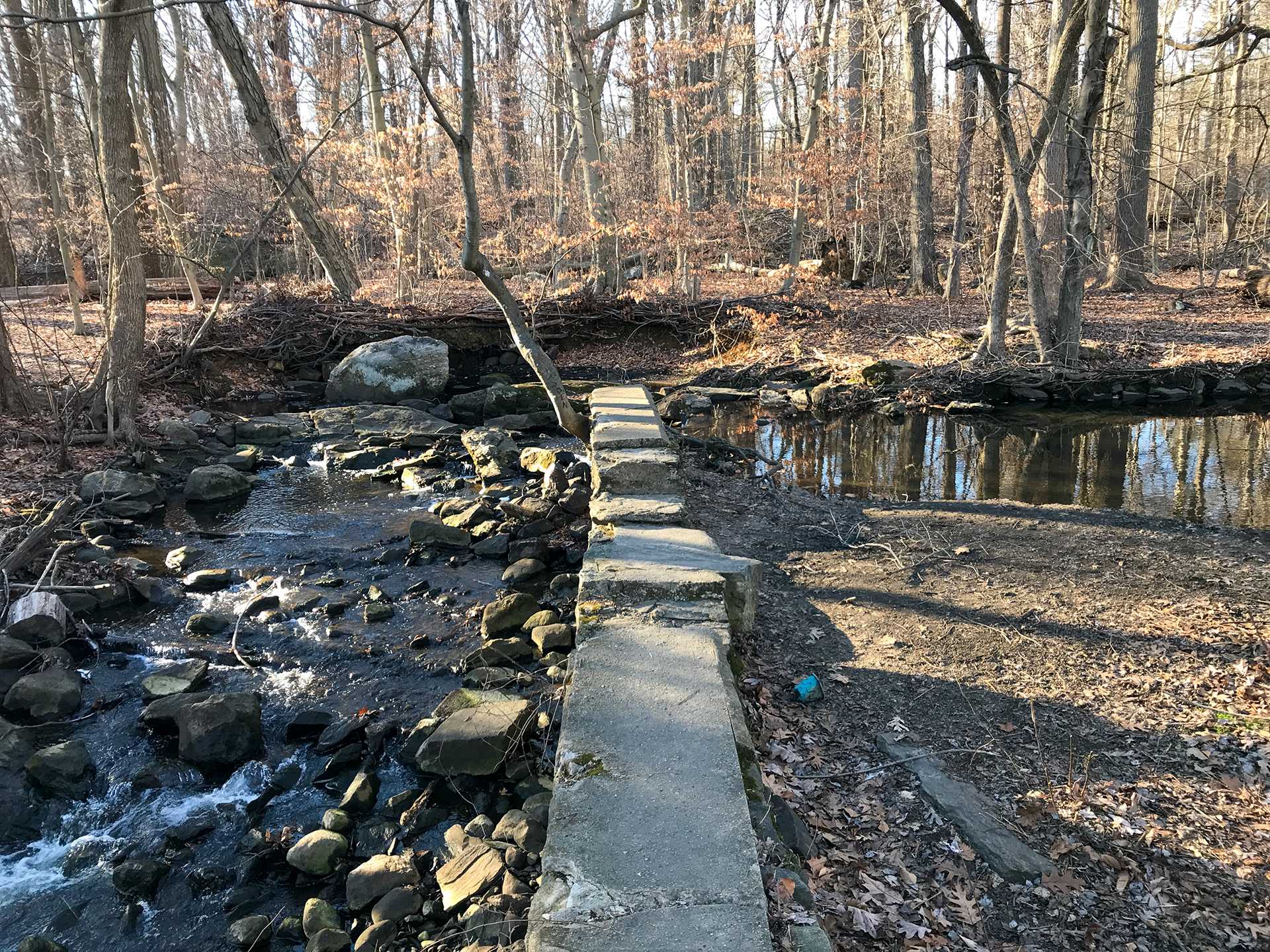 Twin Lakes Park