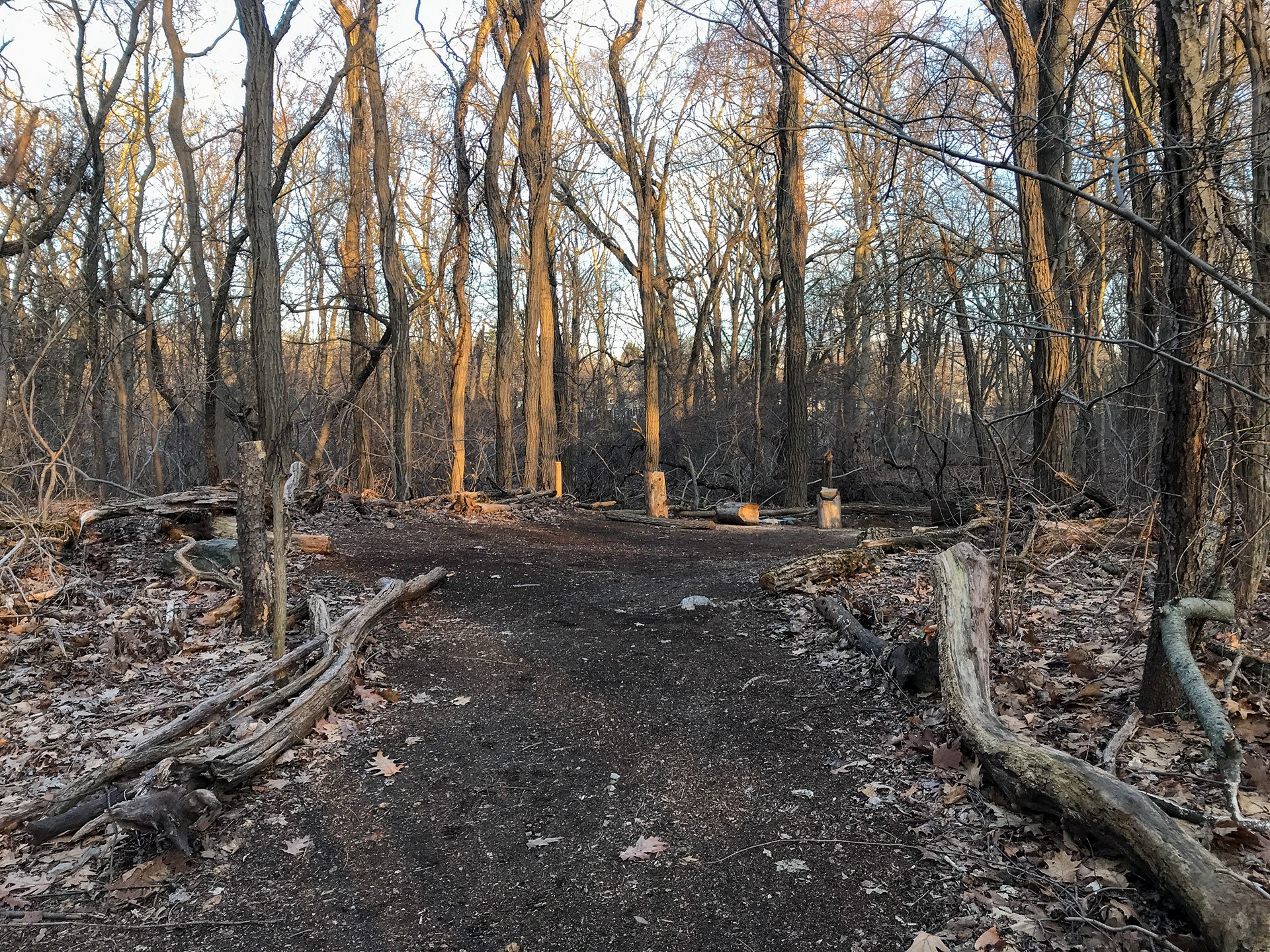Twin Lakes Park