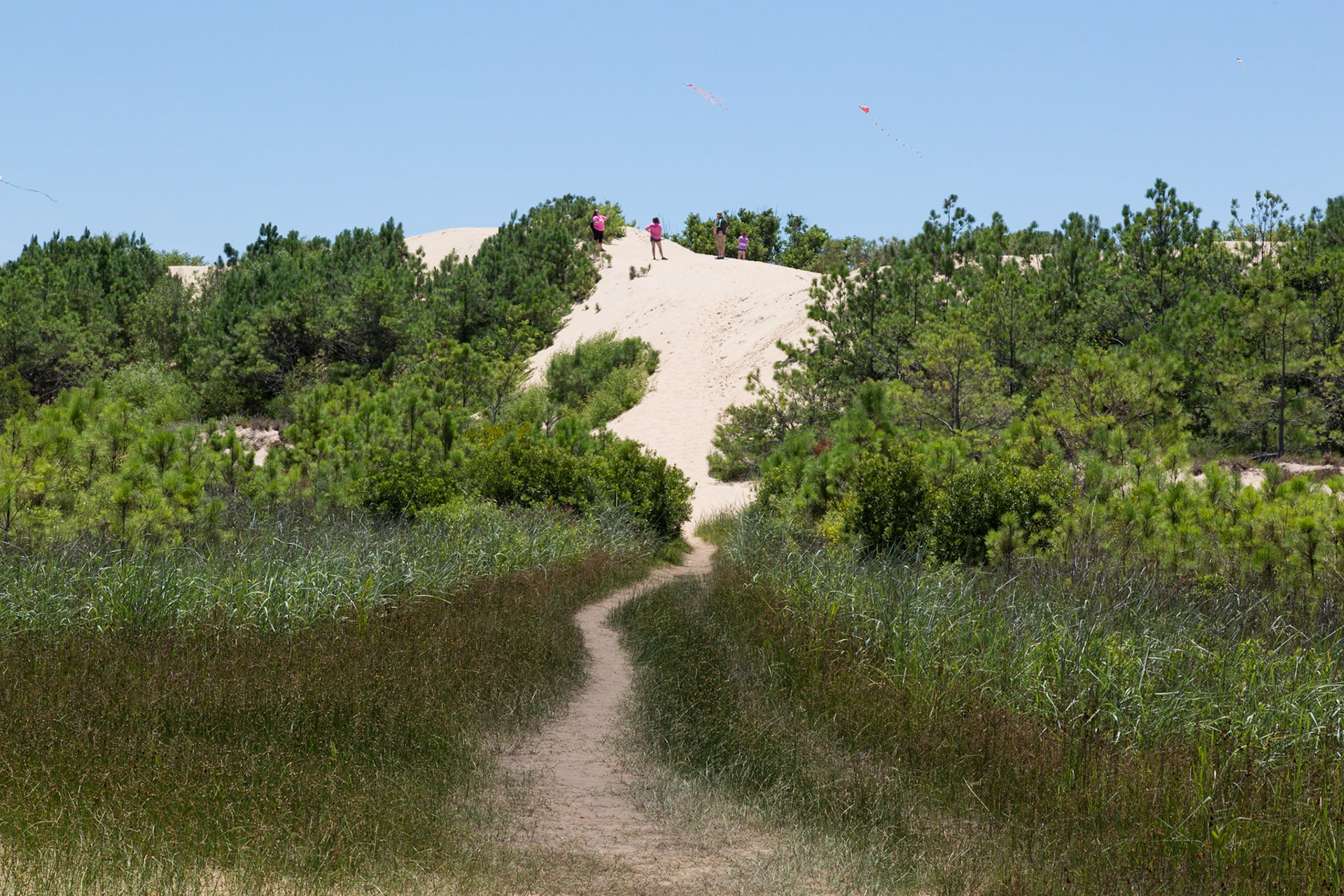 Jockey Ridge, Outter Banks, NC