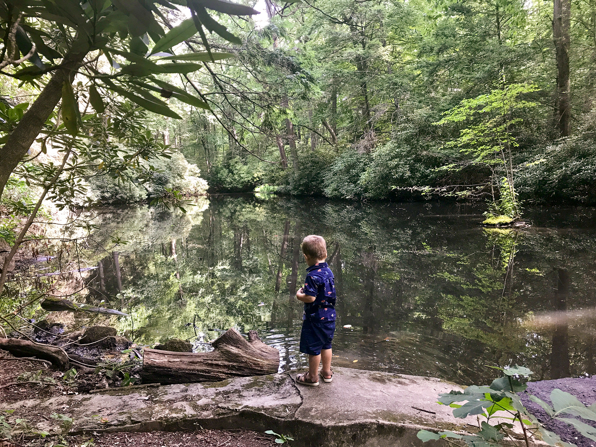 Hartsbrook Park and Preserve