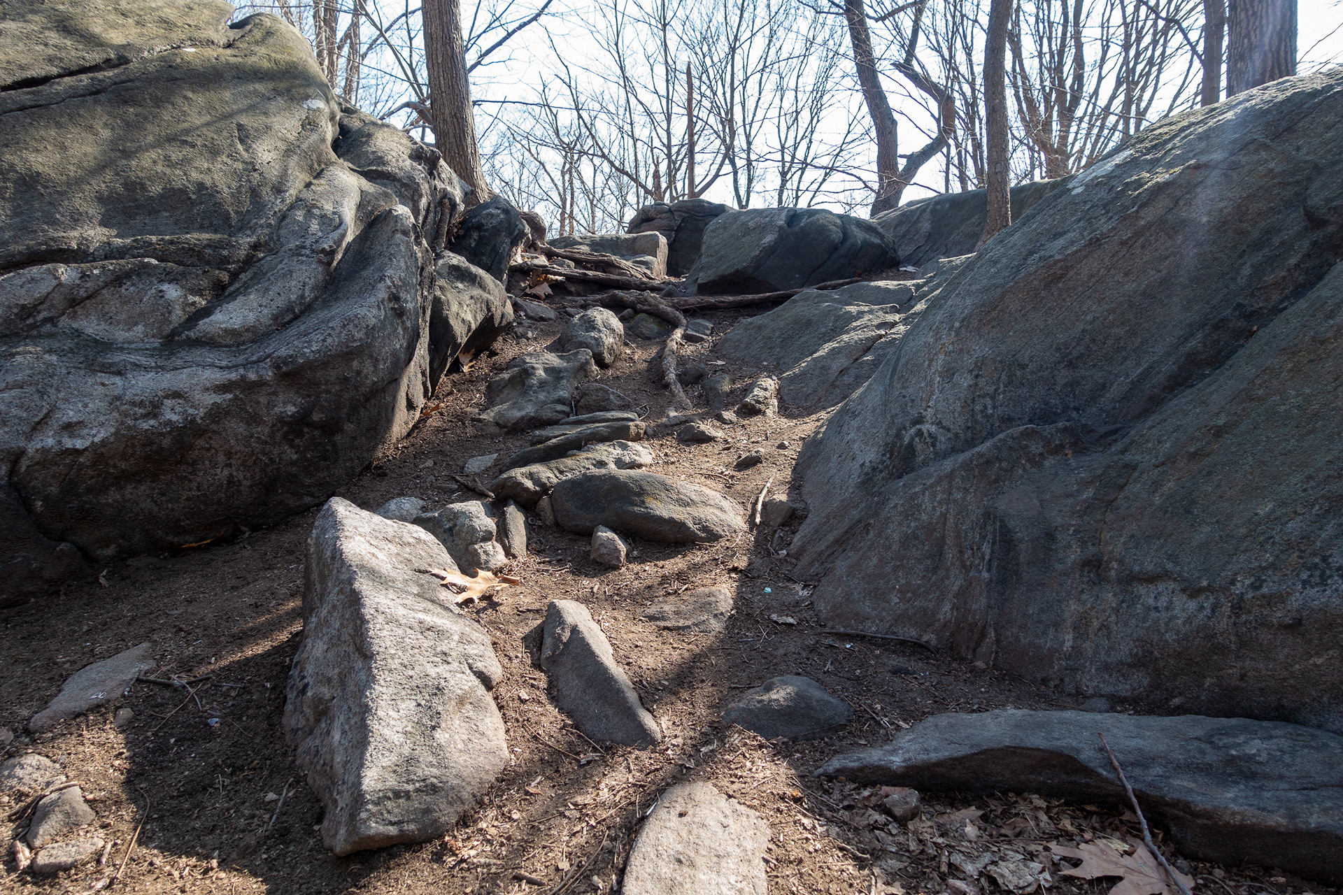 Sprain Ridge Park