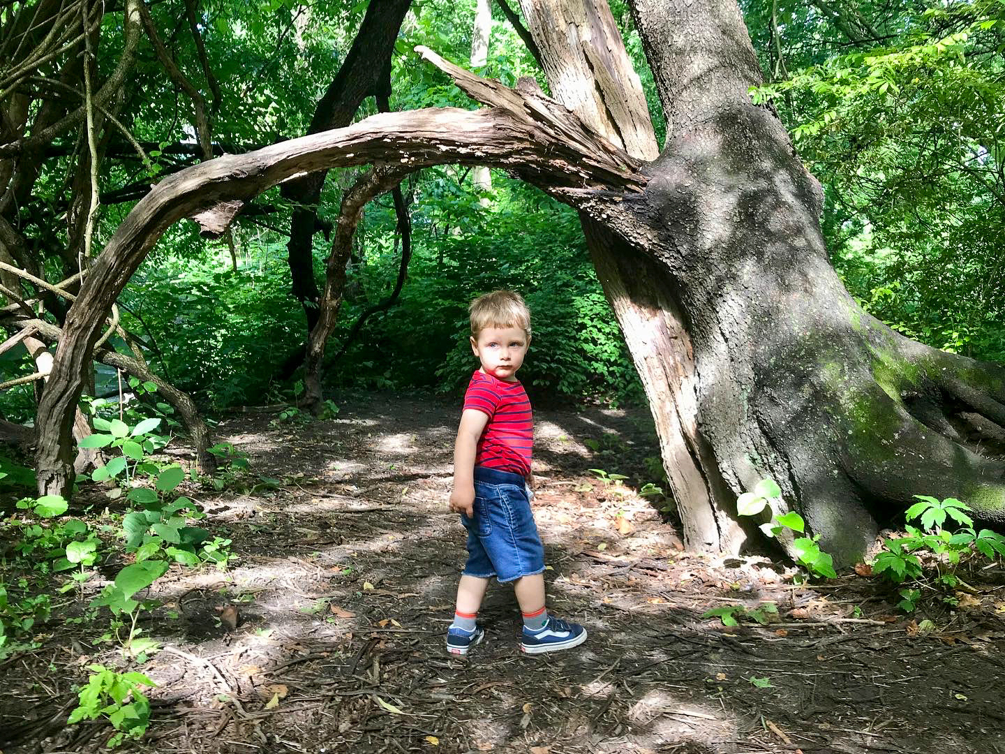 Greenburgh Nature Center