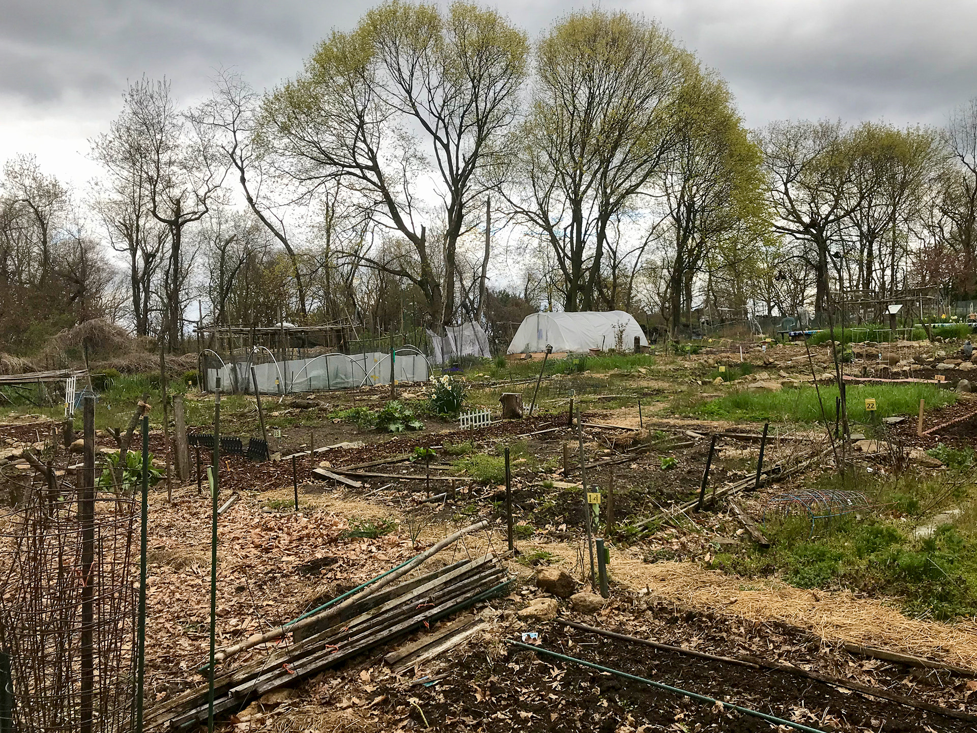 Ward Acres