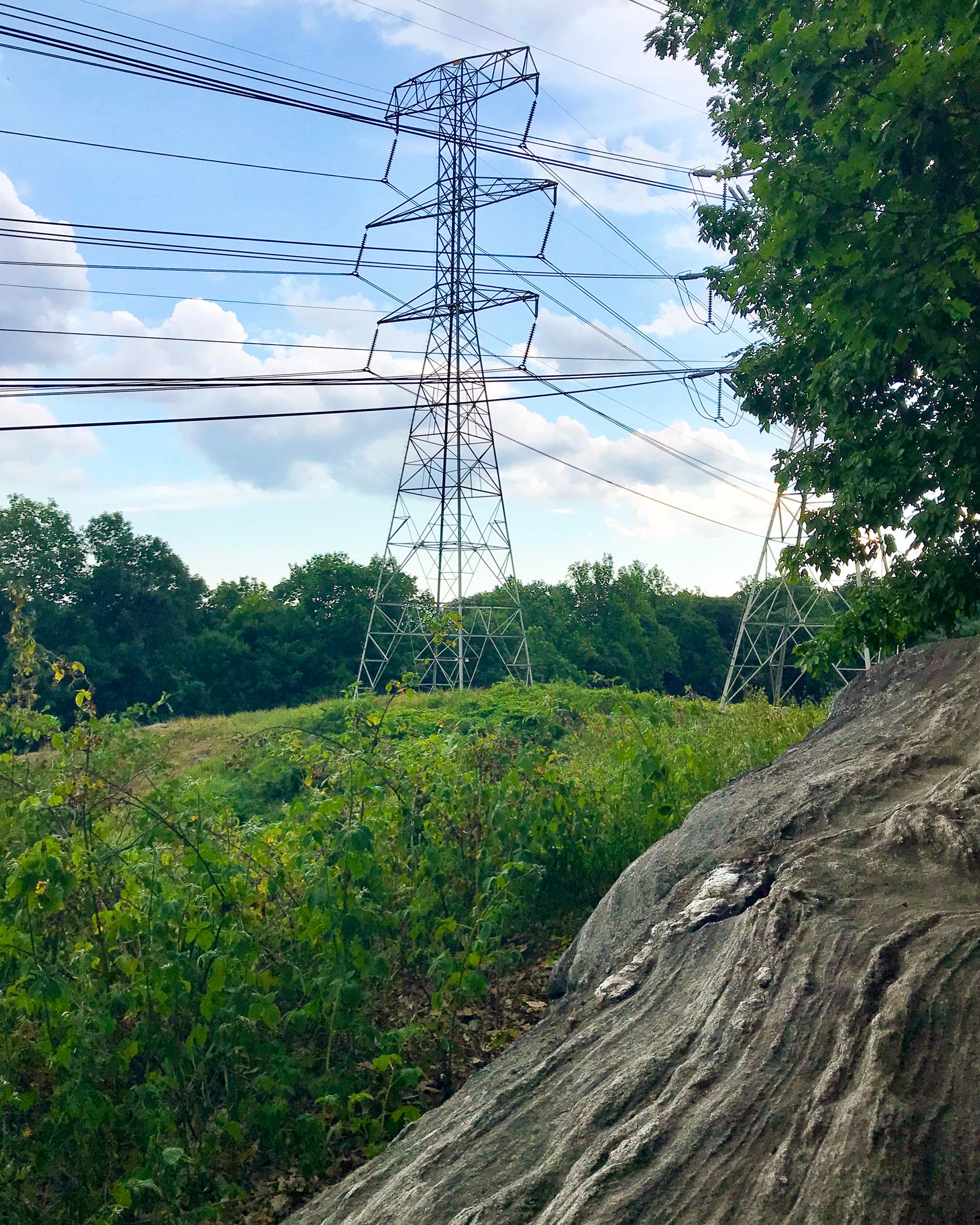 Sprain Ridge Park