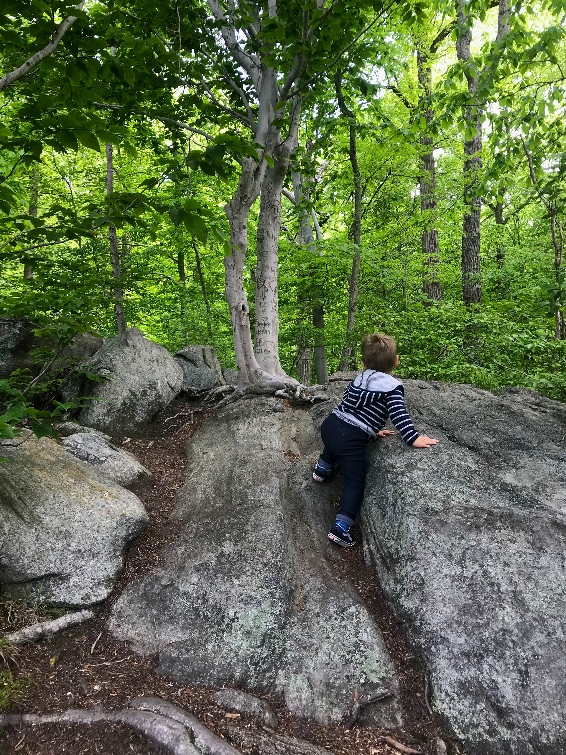 Cranberry Lake Preserve