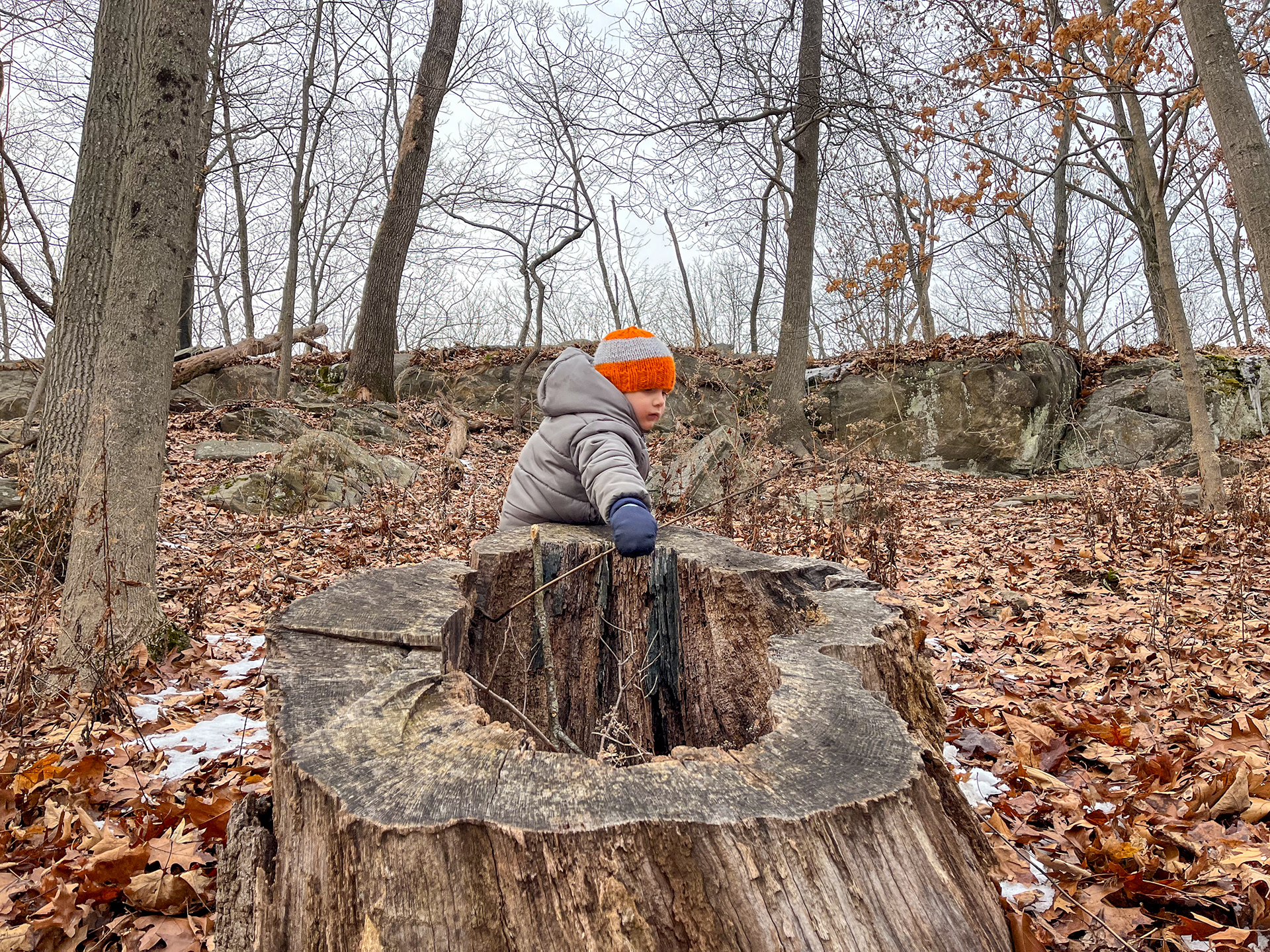 Sprain Ridge Park