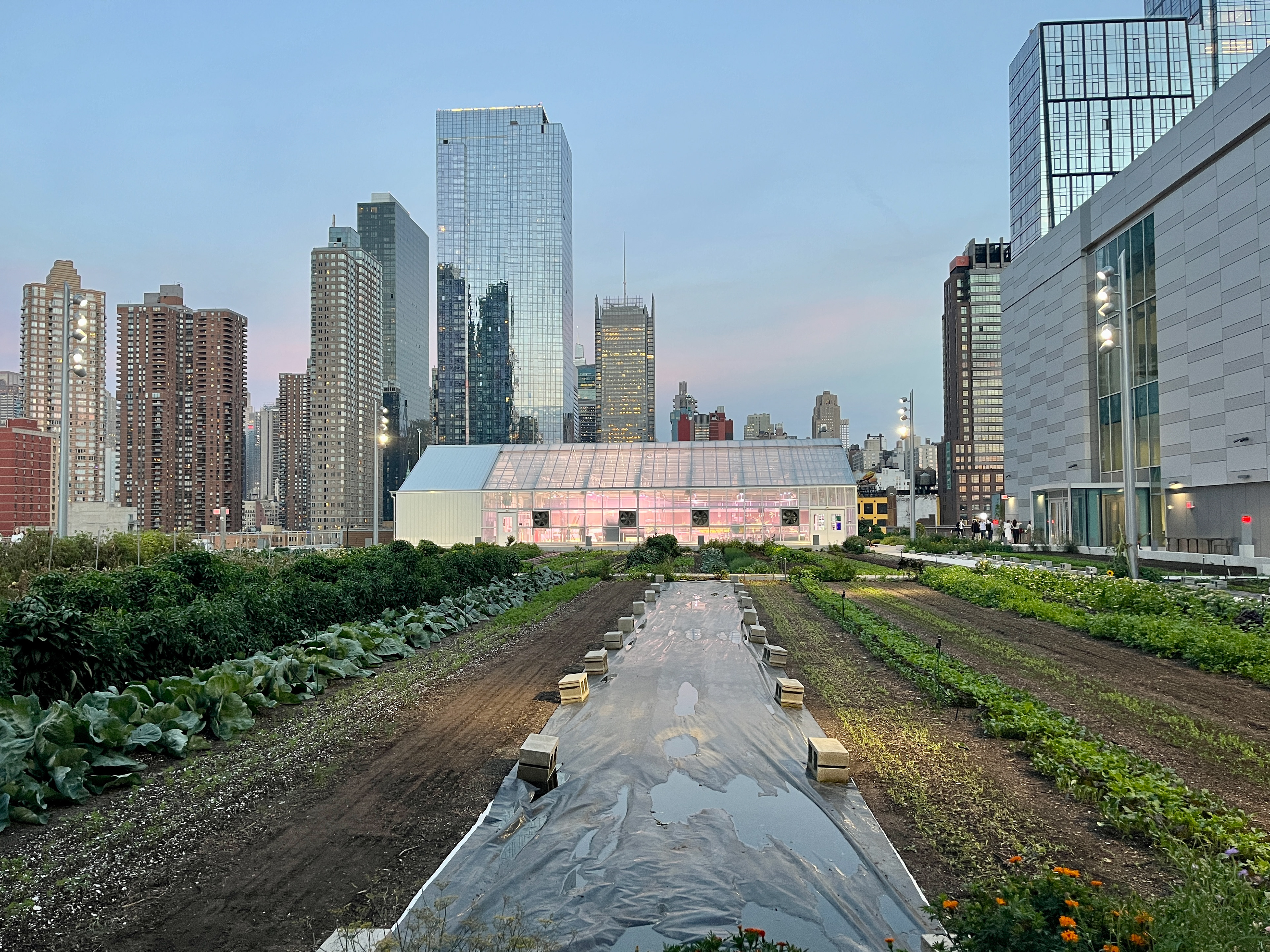 Green Roof on the Jacob Javit's Center 