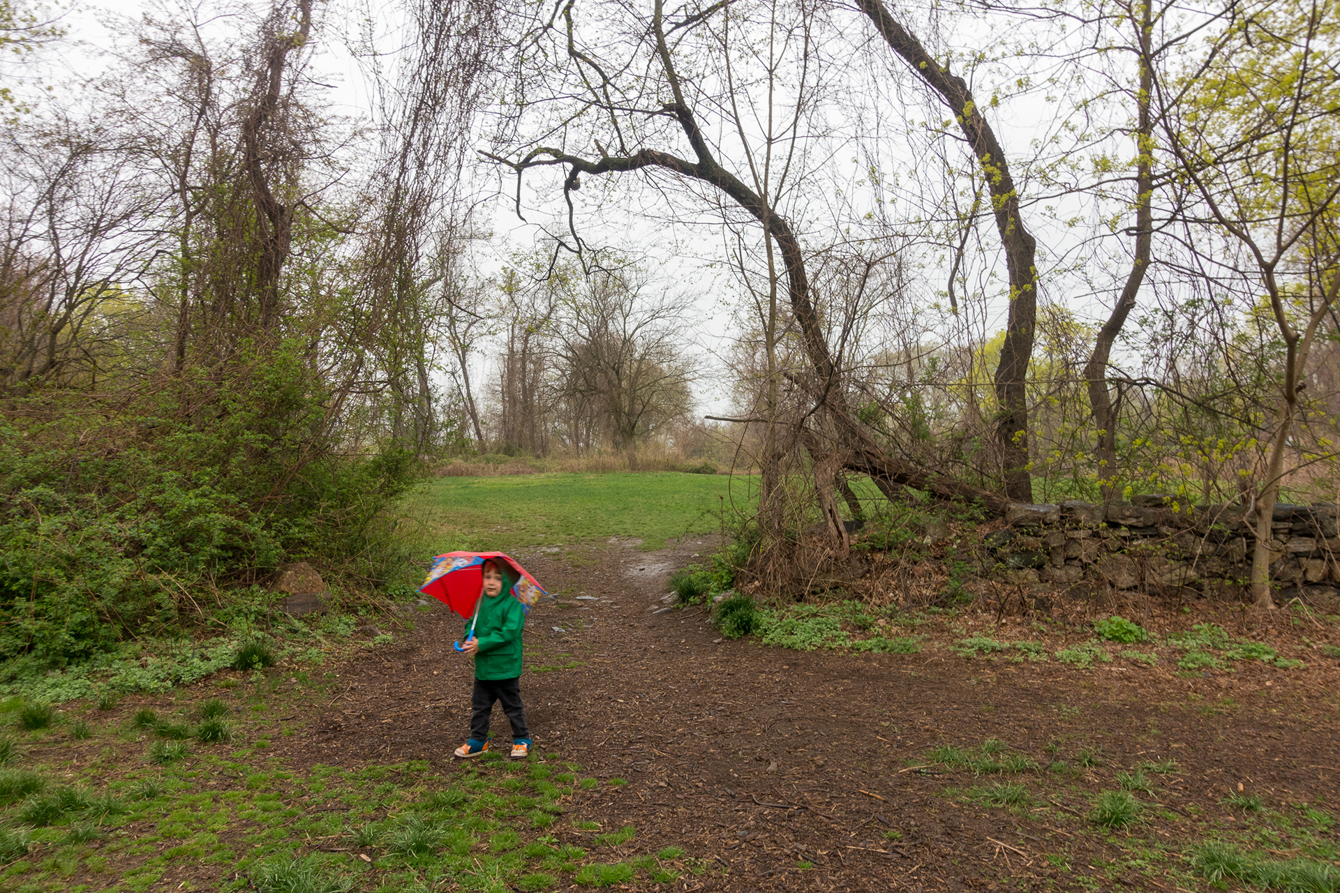 Ward Acres
