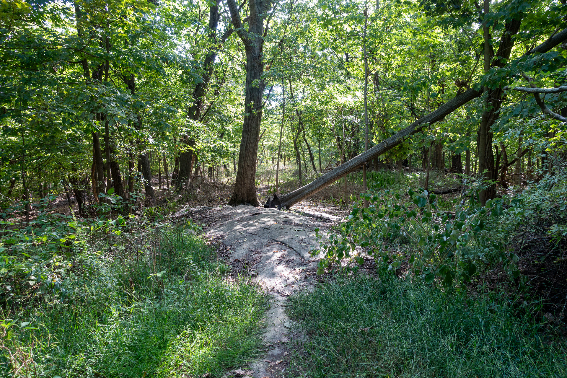 Twin Lakes Park