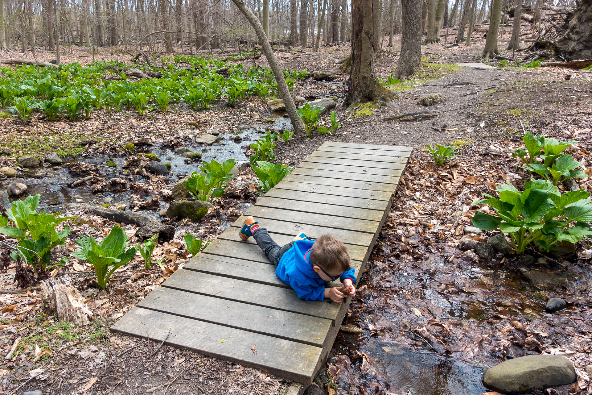Twin Lakes Park