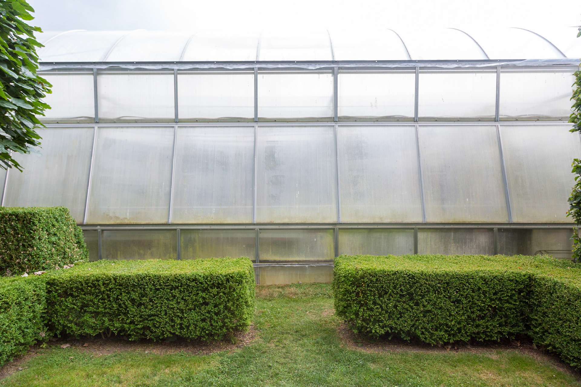 Greenhouse, South Hold, Long Island