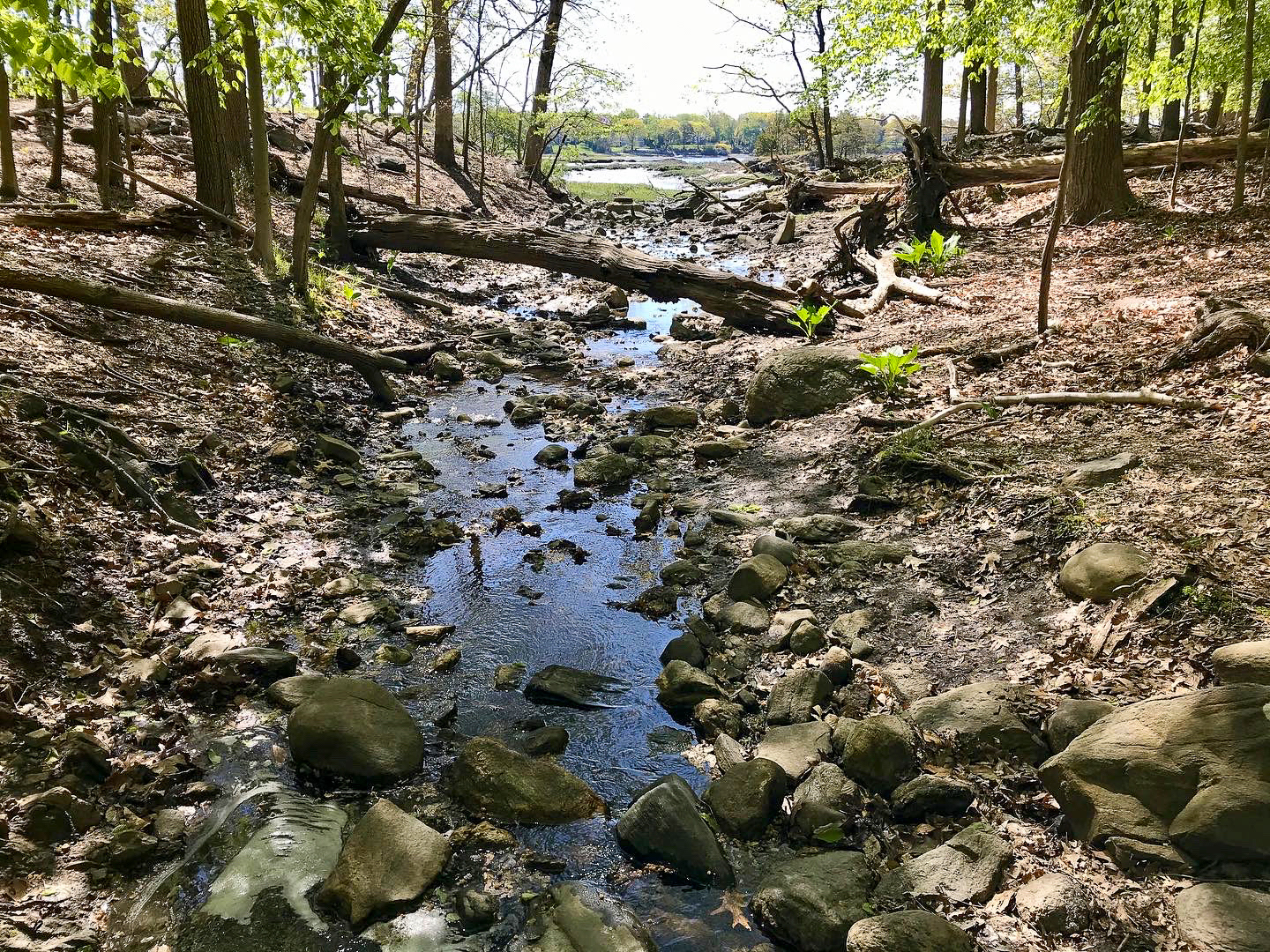 Marshlands Conservancy
