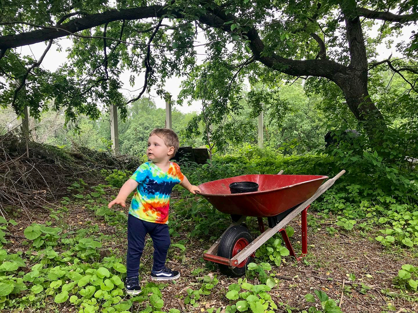 Lenoir Preserve