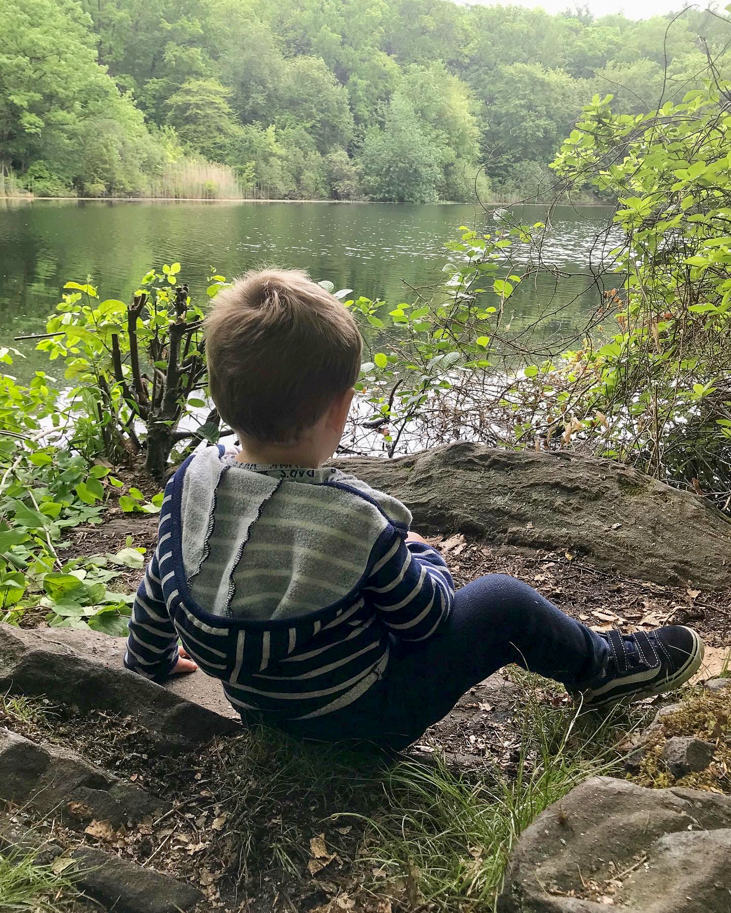 Cranberry Lake Preserve