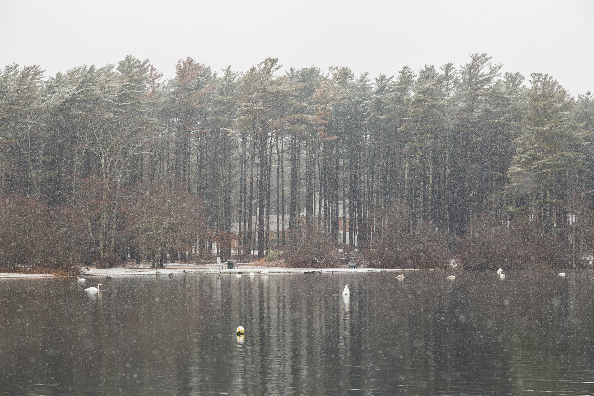 South Haven Park, Long Island, New York