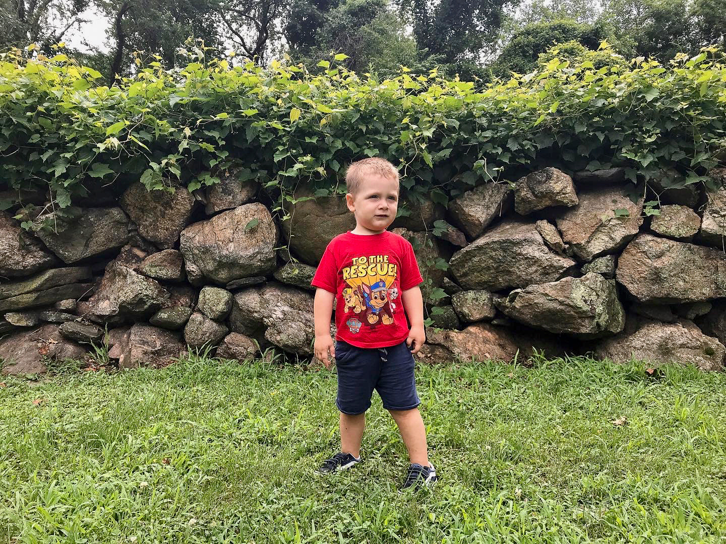 Ward Acres
