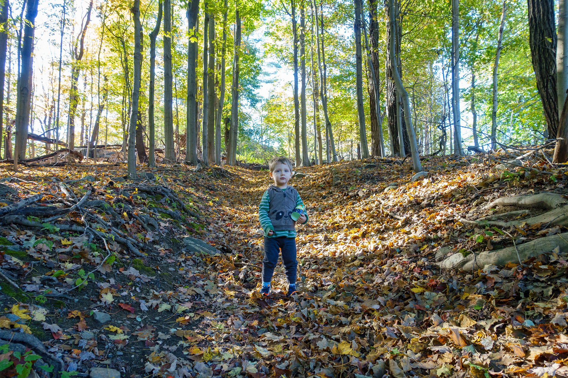 Twin Lakes Park