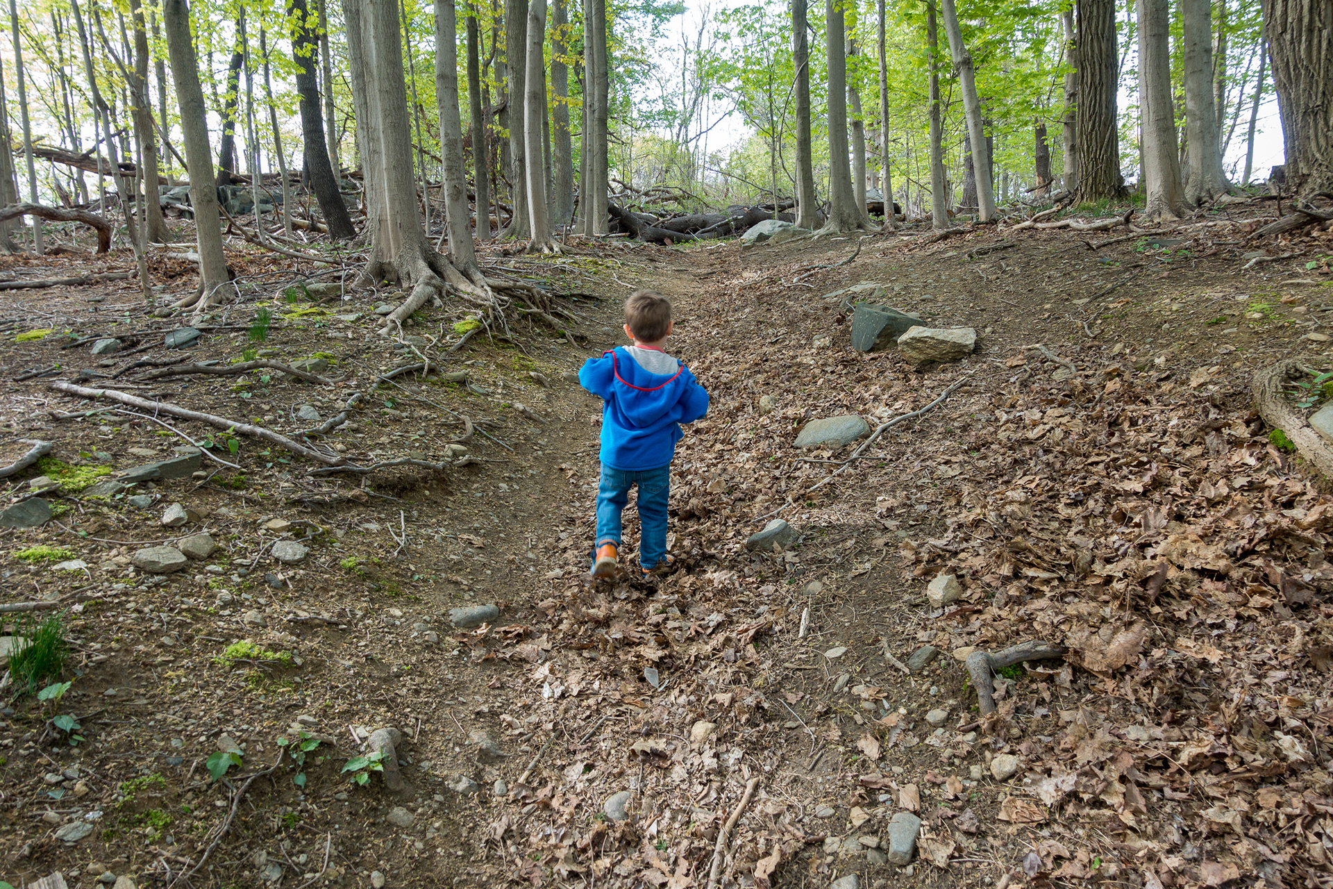 Twin Lakes Park