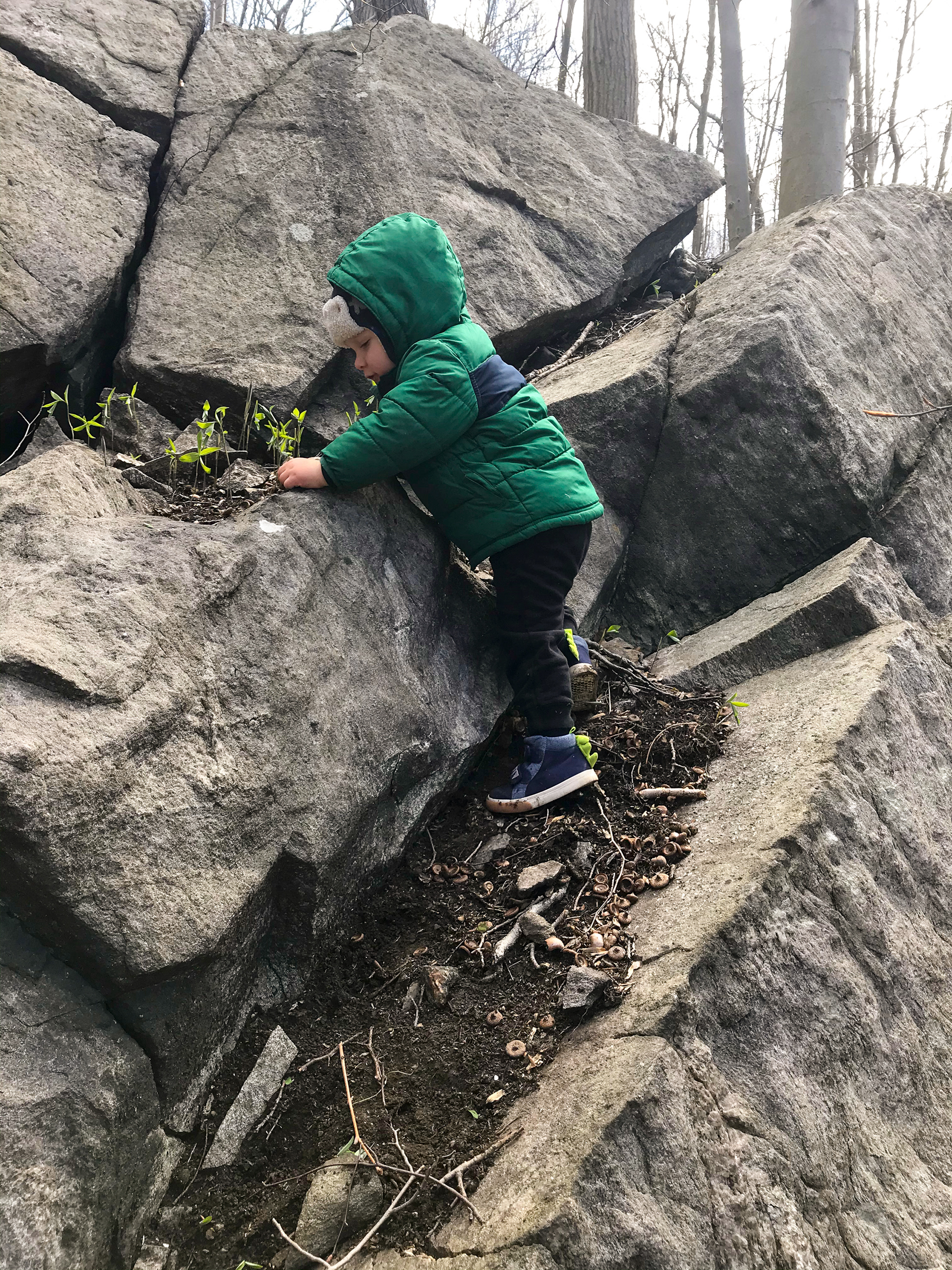 Sprain Ridge Park