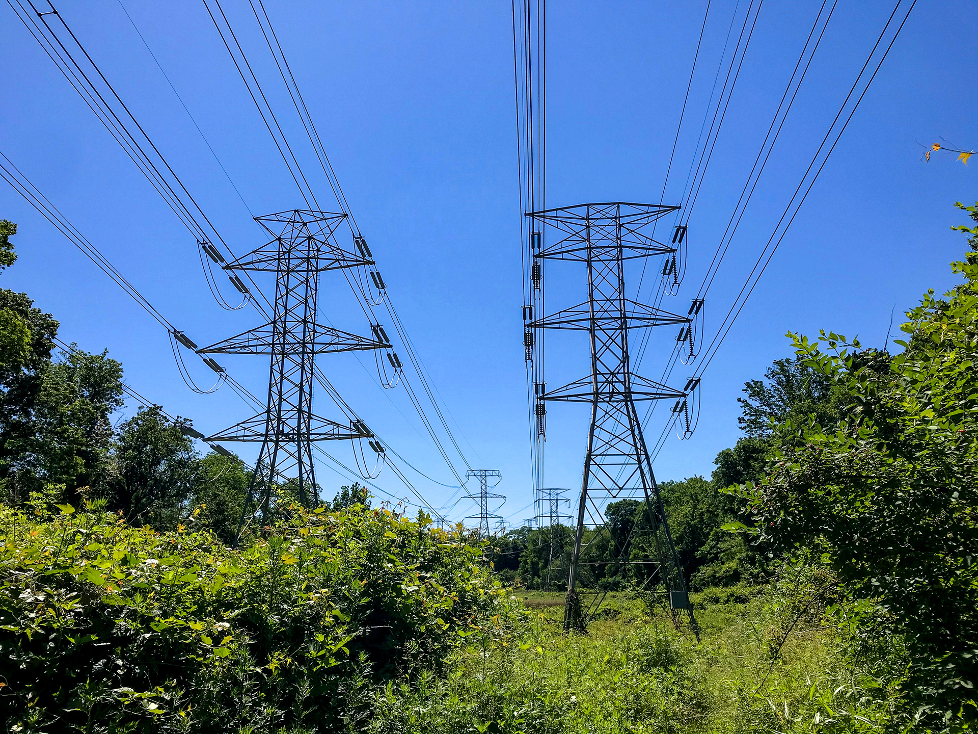 Cross County Trail