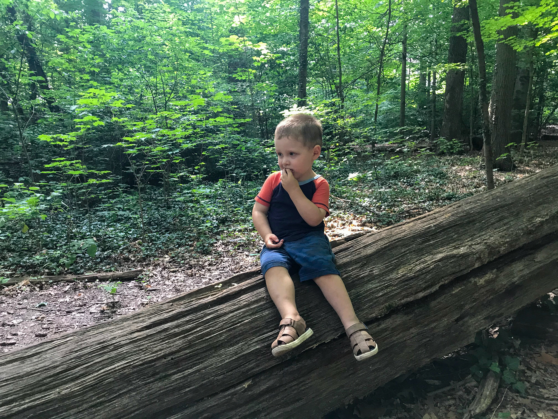 Sprain Ridge Park