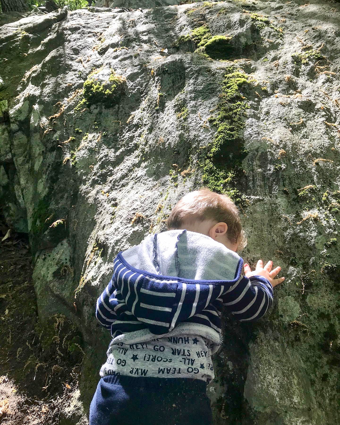 Sprain Ridge Park