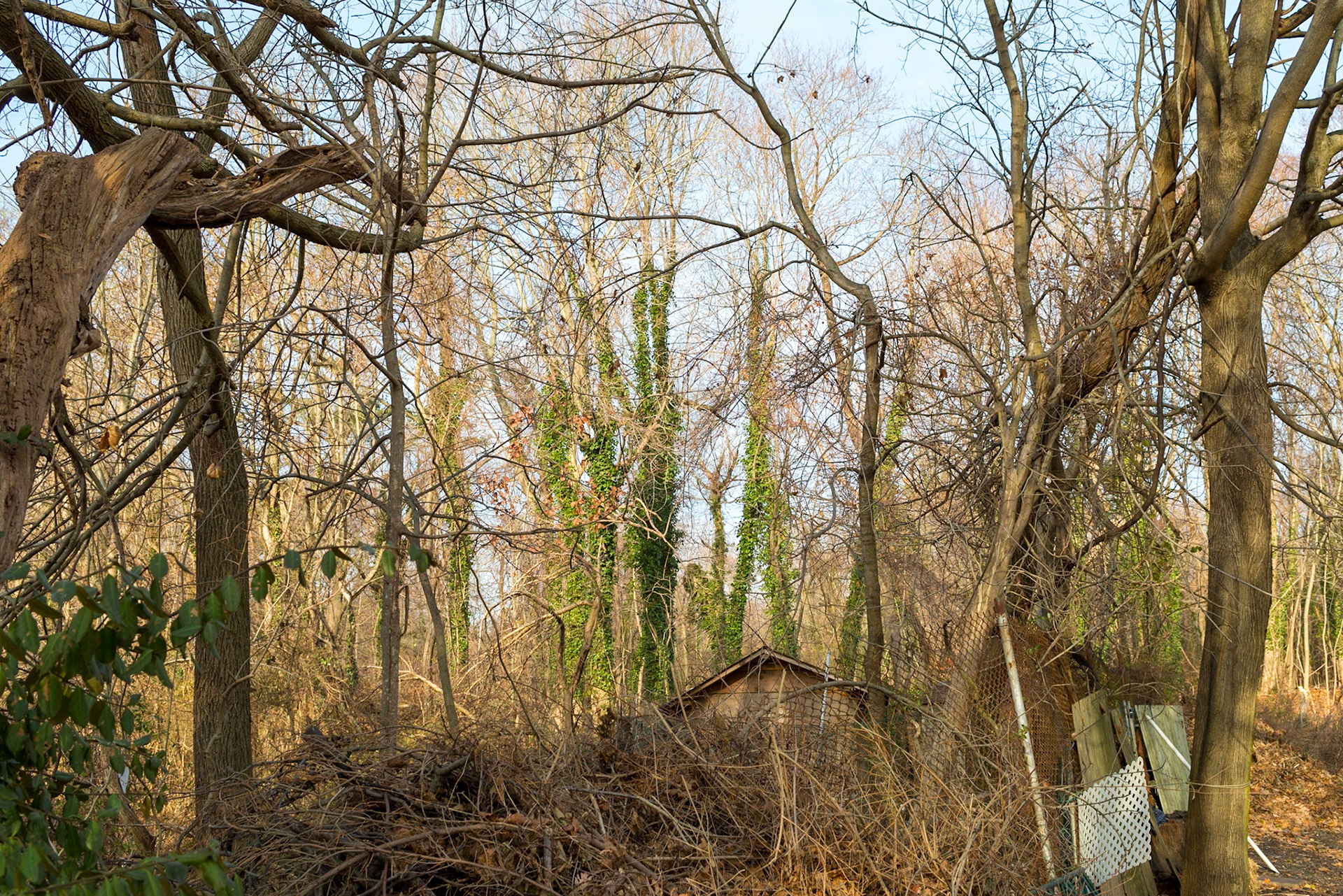 Kings Park Psychiatric Center, Long Island, NY