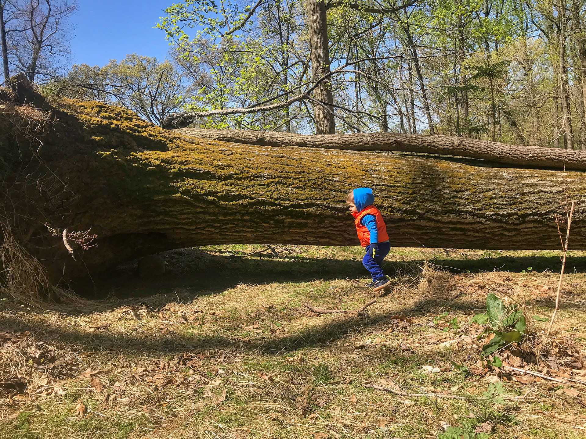 Rockefeller State Park
