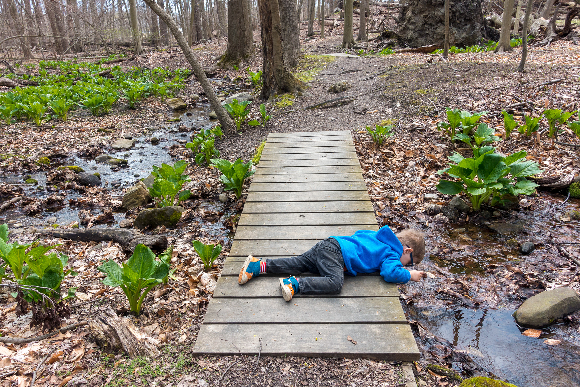 Twin Lakes Park