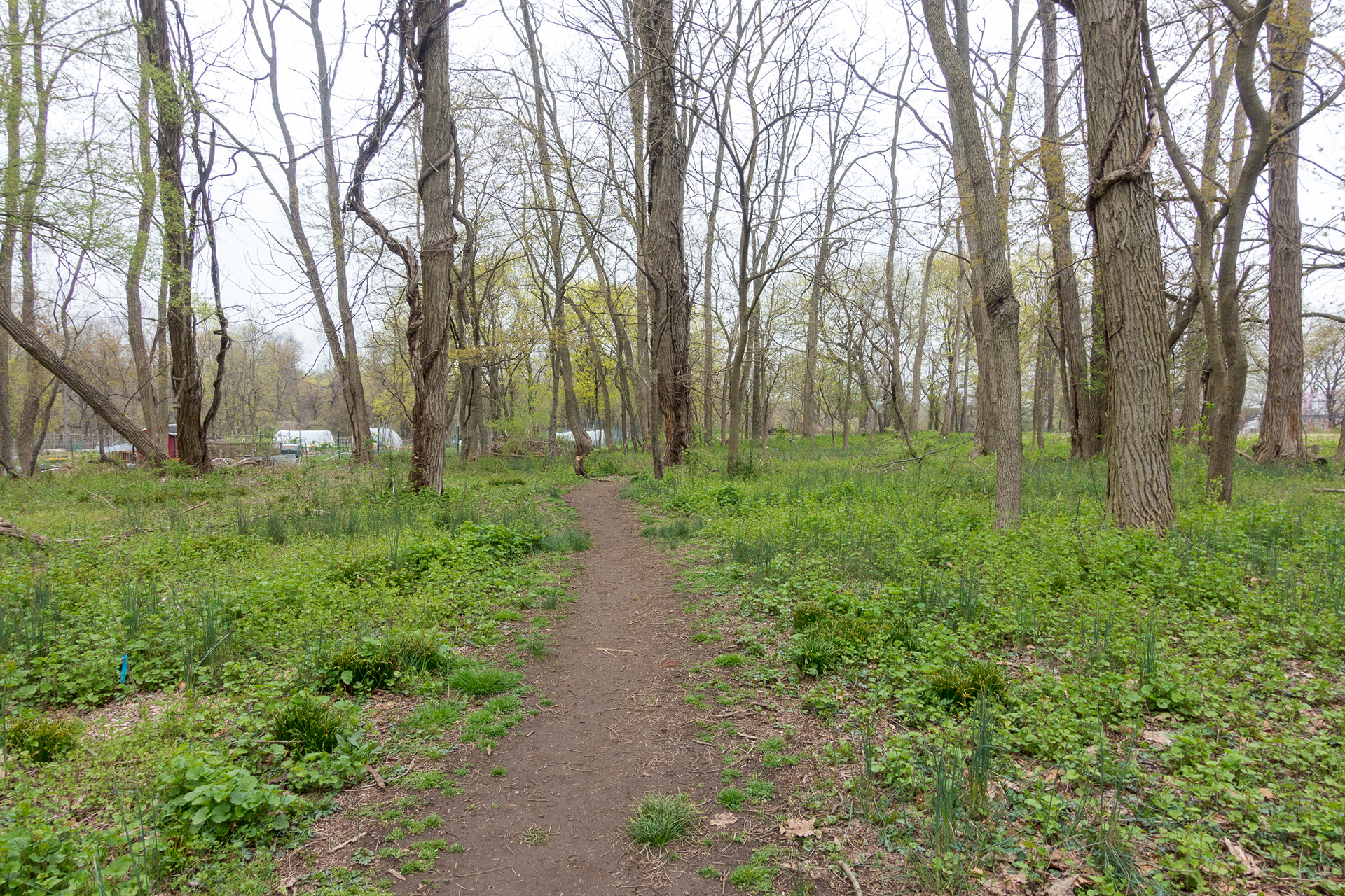 Ward Acres