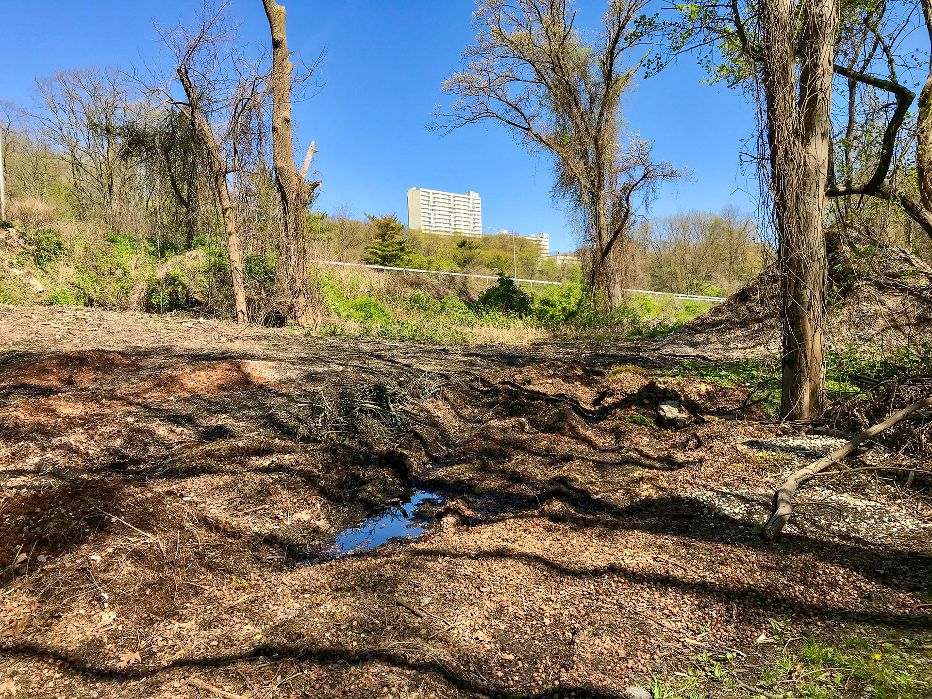 South County Trail