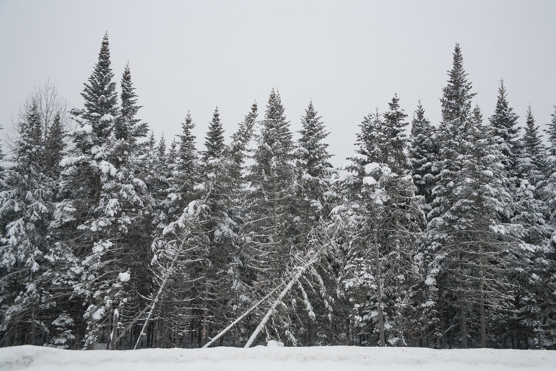 Connors, New Brunswick, Canada