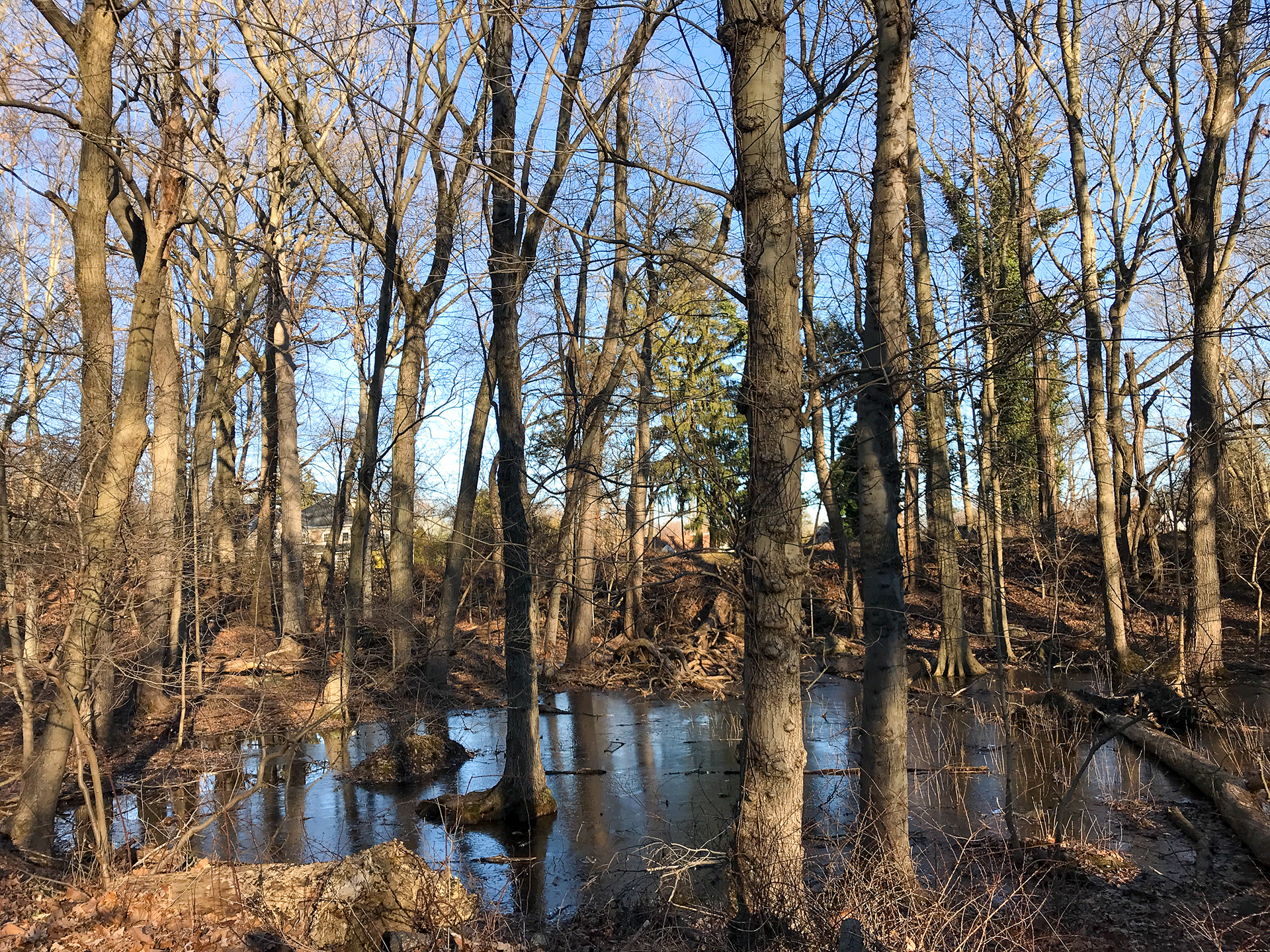 Twin Lakes Park