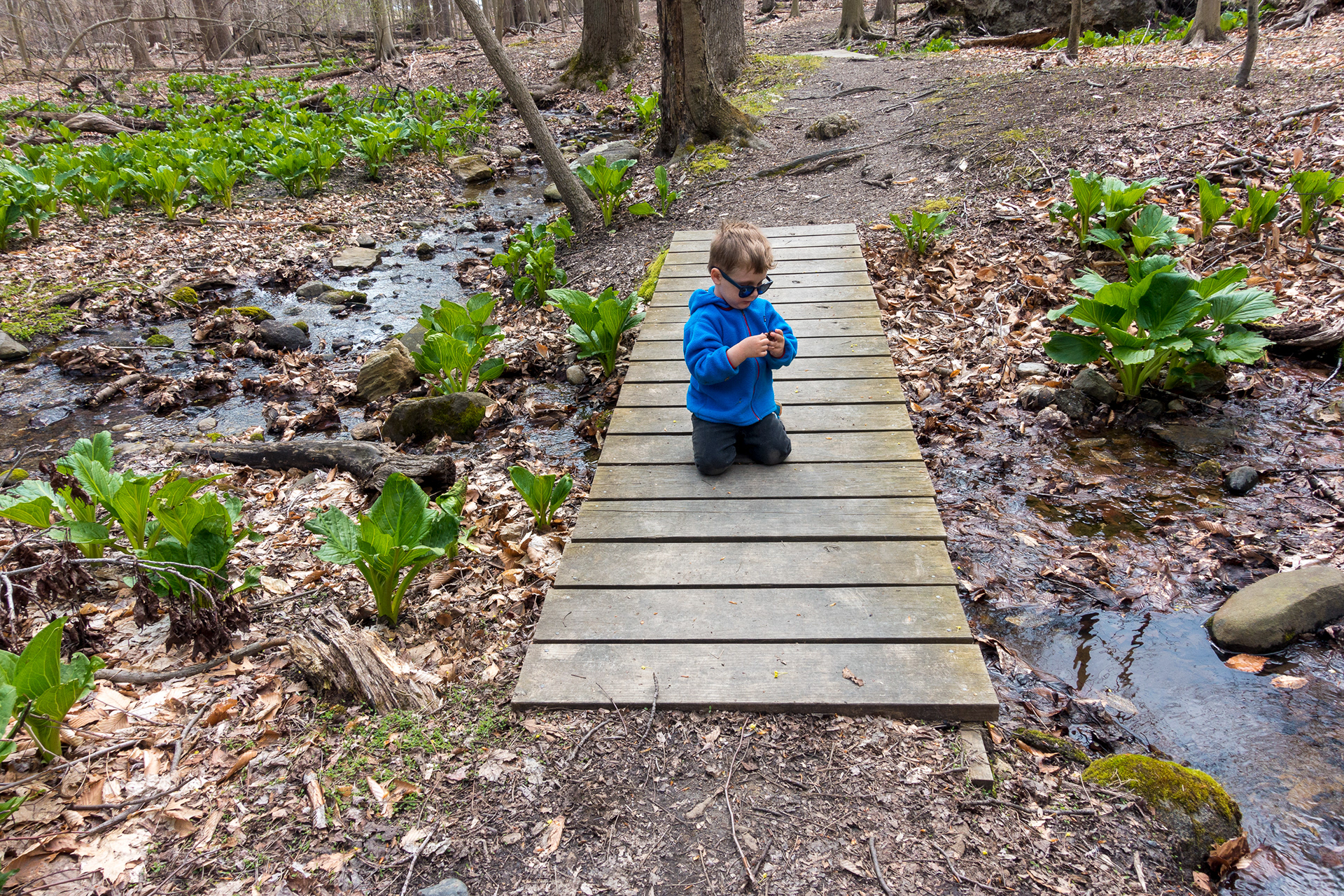 Twin Lakes Park
