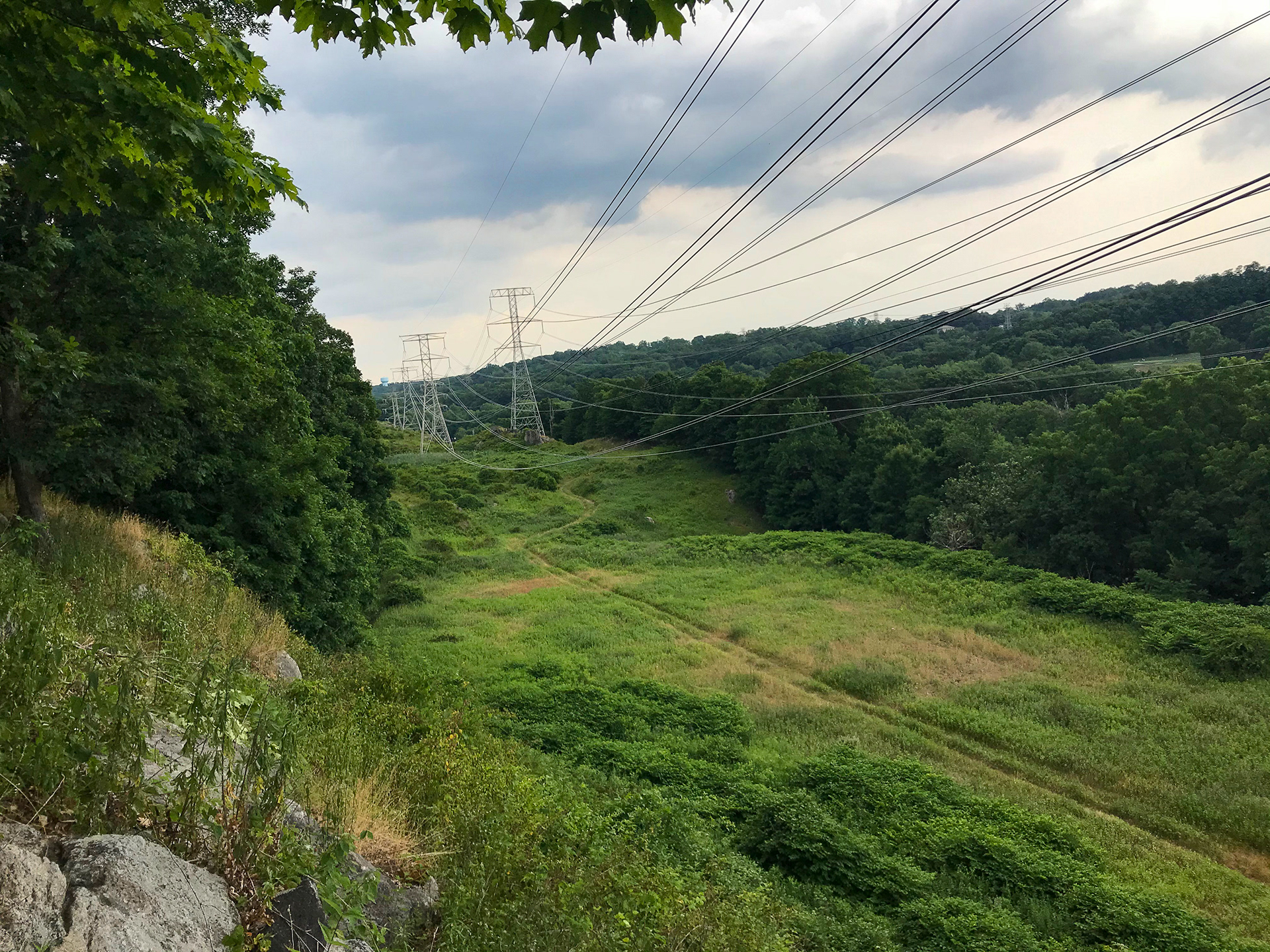 Sprain Ridge Park