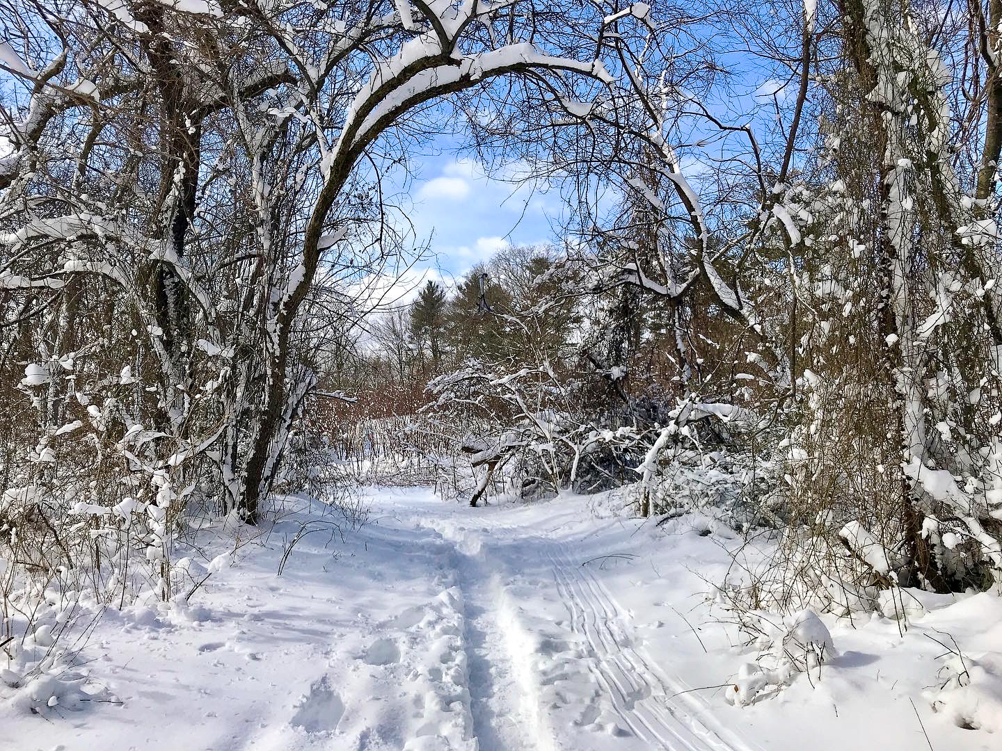 Twin Lakes Park